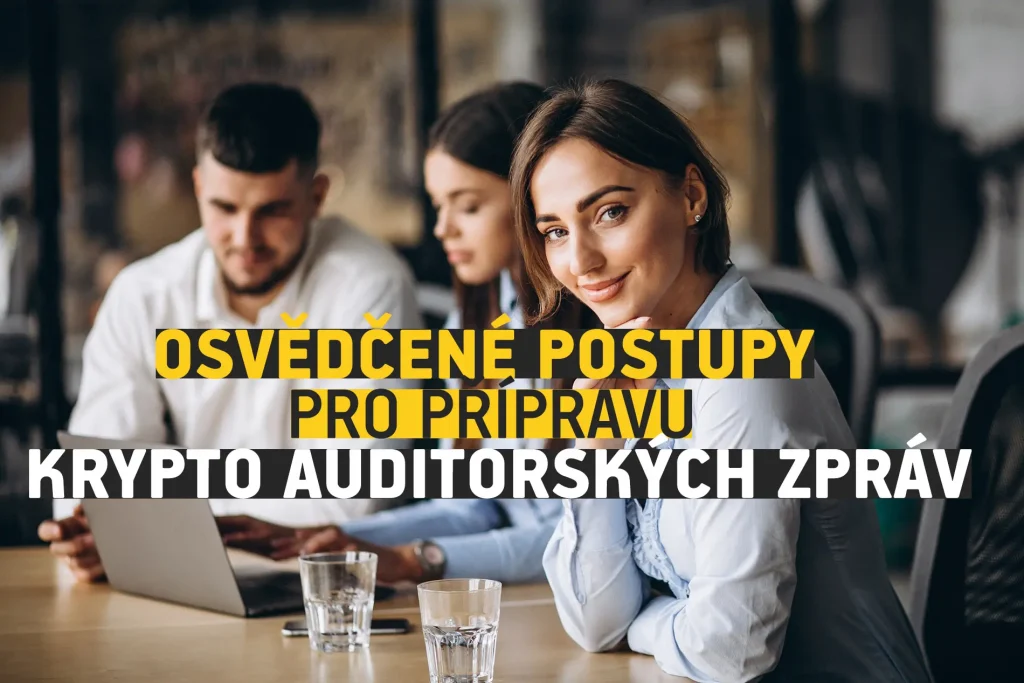 Záznamy blockchainových transakcí pro krypto audit