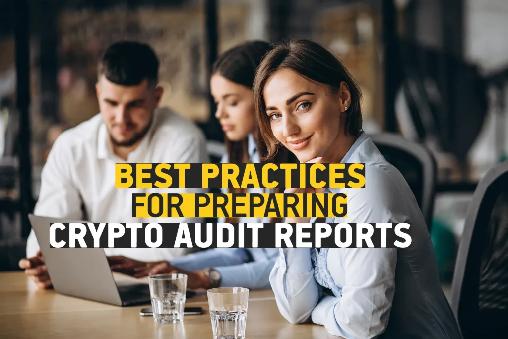 Blockchain transaction records for crypto audit